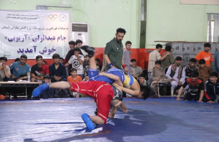 Athletes at the zurkhaneh and traditional wrestling championship
